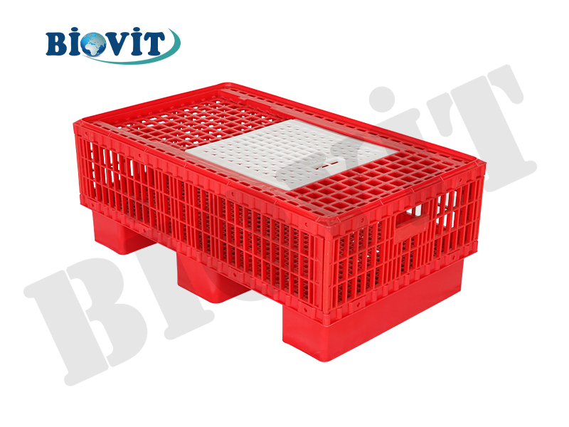 Forklift ile Taşıma Kafesleri
