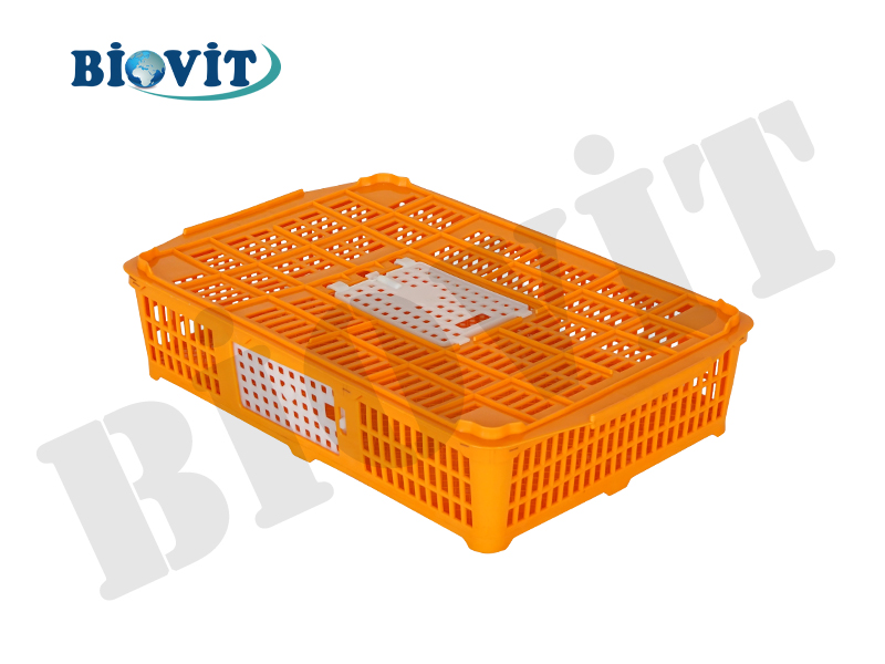 ÜSTTEN VE YANDAN AÇILIMLI BILDIRCIN VE KEKLİK KAFESİ