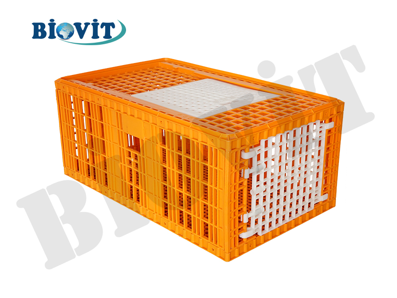 BÜYÜK HİNDİ KAFESİ (ÜSTEN VE YANDAN AÇILIMLI)