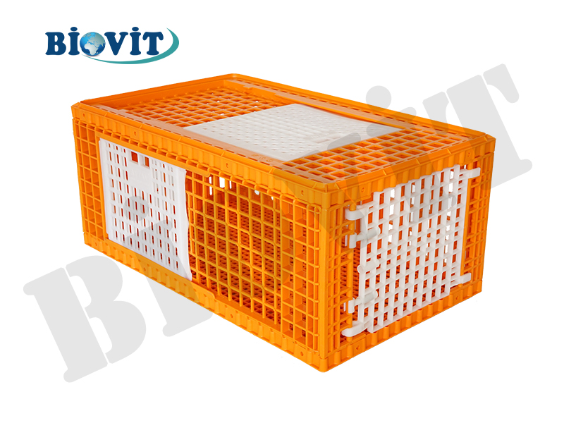 BÜYÜK HİNDİ KAFESİ (ÜSTEN,YANDAN VE ORTADAN AÇILIMLI)