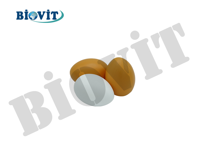 PLASTİK YUMURTA