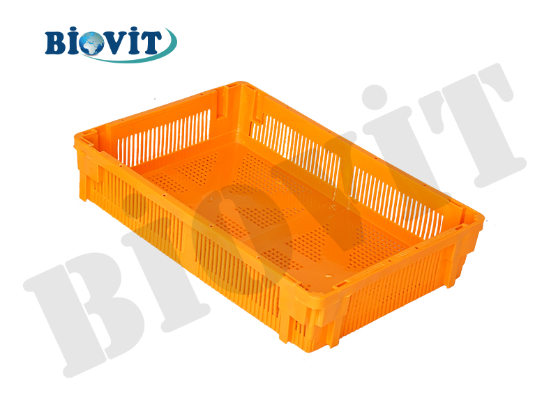 TEK BÖLMELİ KÜÇÜK CİVCİV SEPETİ ( ALTI DELİKLİ )