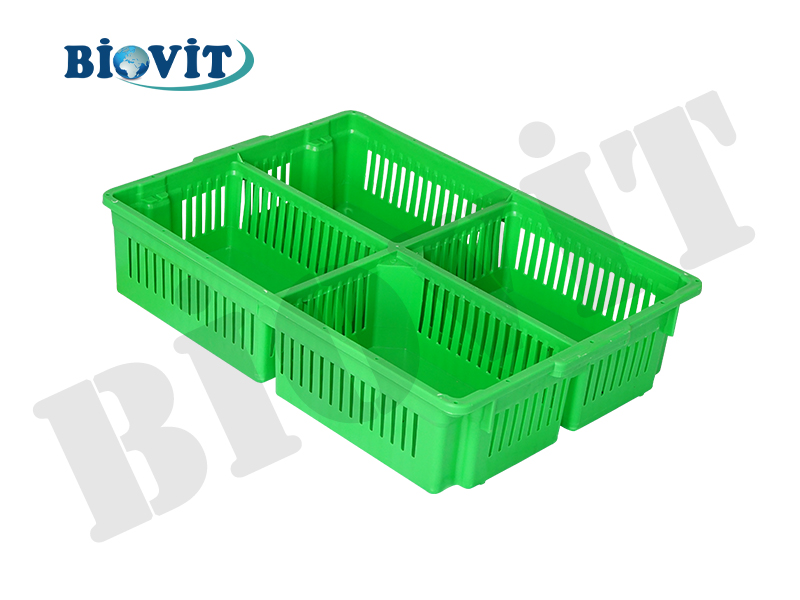 DÖRT BÖLMELİ BÜYÜK CİVCİV SEPETİ ( ALTI KAPALI )