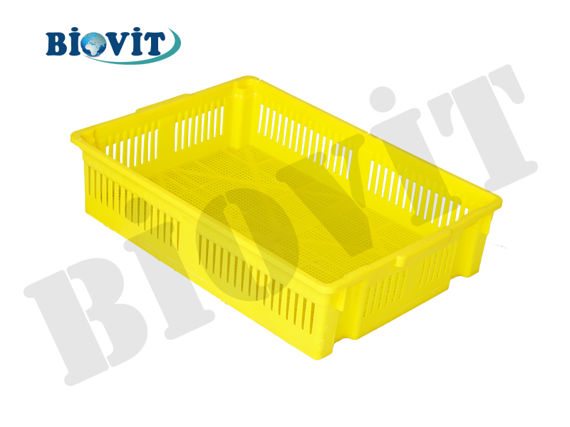 TEK BÖLMELİ BÜYÜK CİVCİV SEPETİ ( ALTI DELİKLİ )