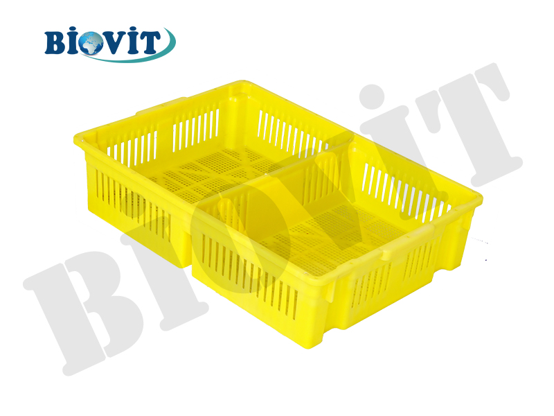İKİ BÖLMELİ BÜYÜK CİVCİV SEPETİ ( ALTI DELİKLİ )