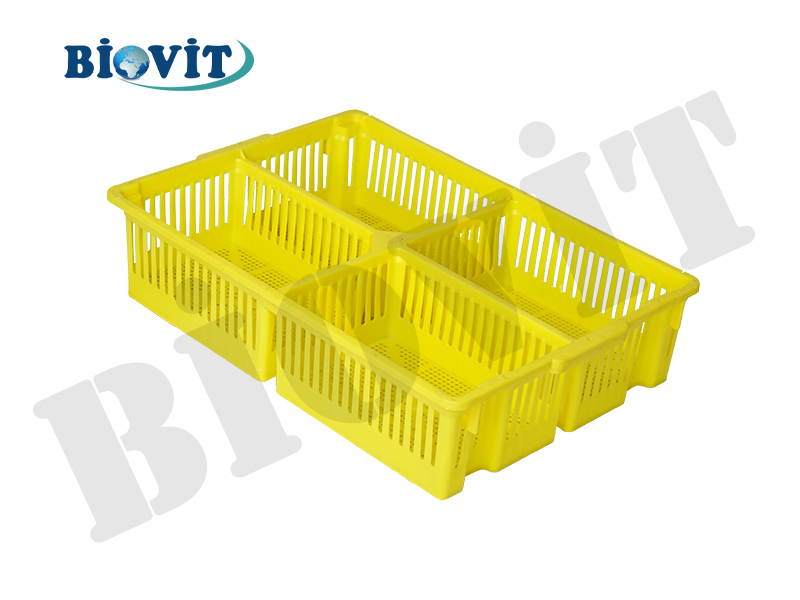 DÖRT BÖLMELİ BÜYÜK CİVCİV SEPETİ ( ALTI DELİKLİ )