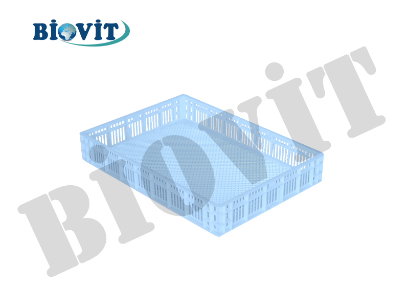 CİVCİV ÇIKIM SEPETİ TİP 2 (150 LİK)