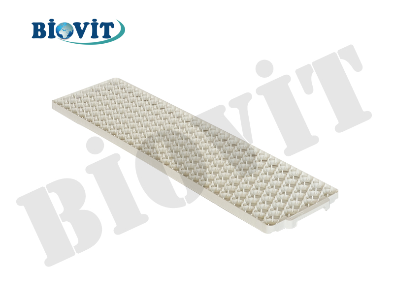GELİŞİM VİYOLÜ (165'LİK)