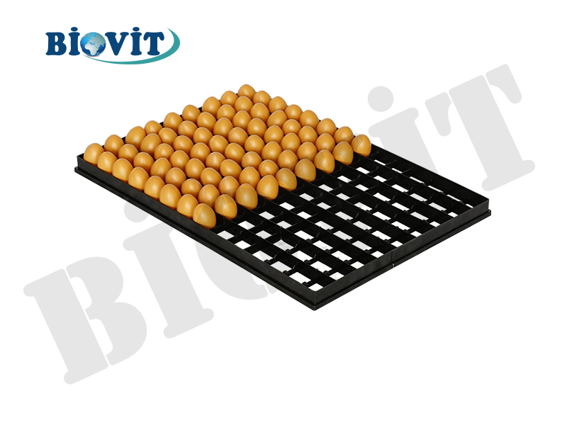 PLASTİK HİNDİ YUMURTASI VİYOLÜ (126'LI)