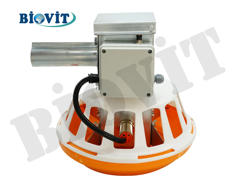 FİLELİ HAT SONU YEMLİĞİ