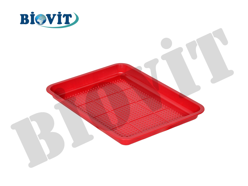 CİVCİV YEMLİĞİ