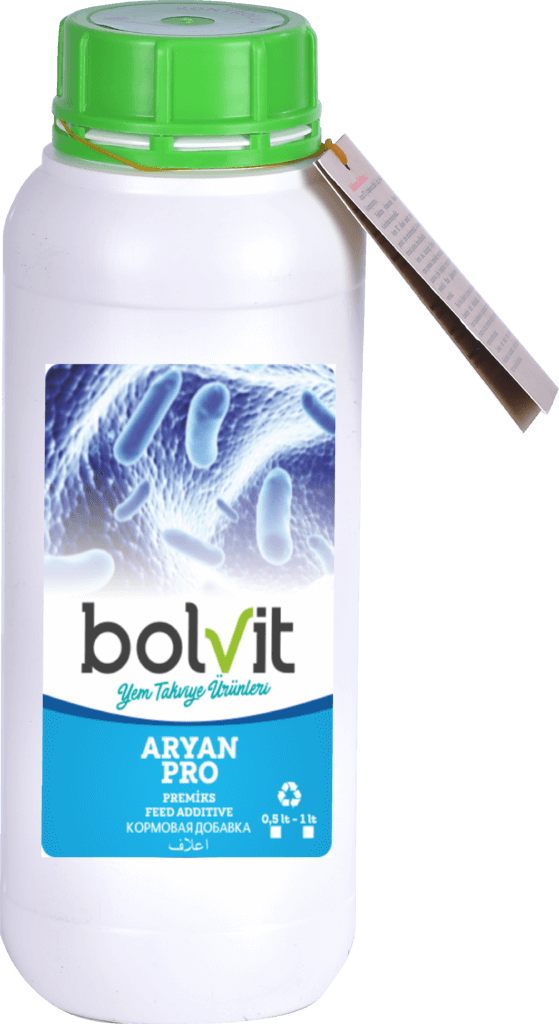 Bolvit Aryan Pro